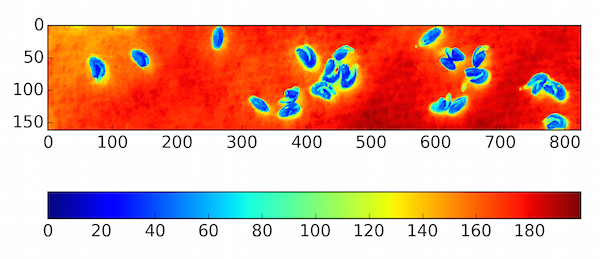 Blue channel of the calibration image with jet colormap