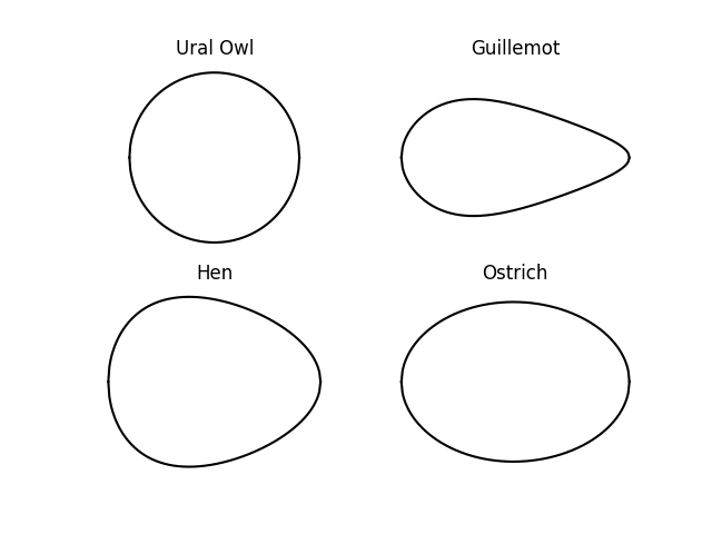 Egg cross sections